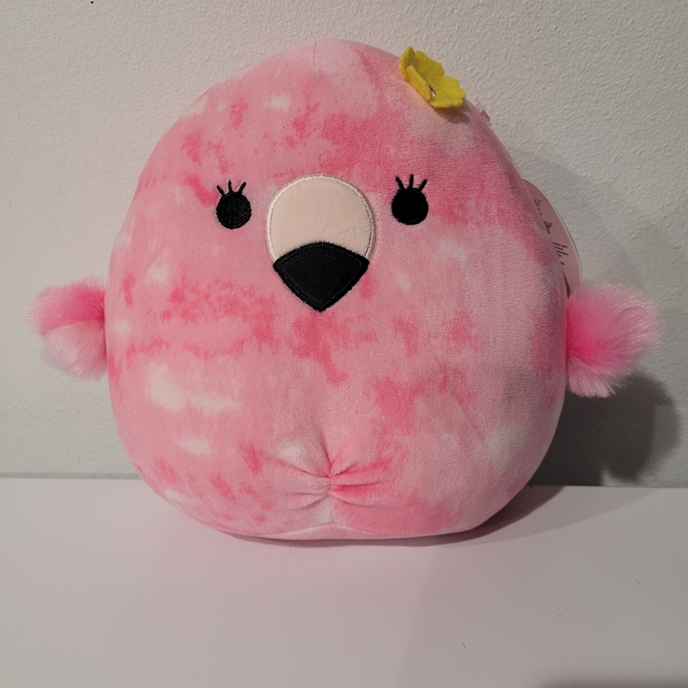 ⭐️Cookie Squishmallow